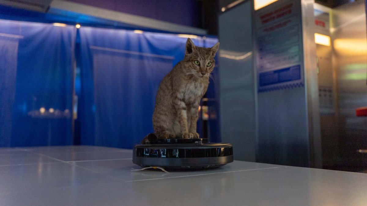 Media Majlis Installation 